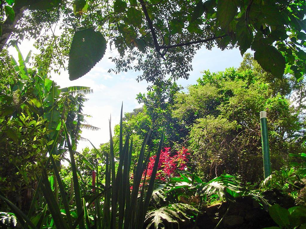 Casa Dell Angelo Apartamentos Visconde de Mauá Exterior foto